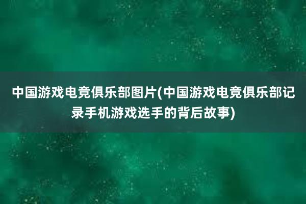 中国游戏电竞俱乐部图片(中国游戏电竞俱乐部记录手机游戏选手的背后故事)