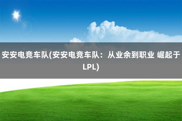 安安电竞车队(安安电竞车队：从业余到职业 崛起于LPL)