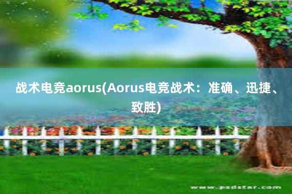 战术电竞aorus(Aorus电竞战术：准确、迅捷、致胜)