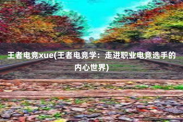 王者电竞xue(王者电竞学：走进职业电竞选手的内心世界)