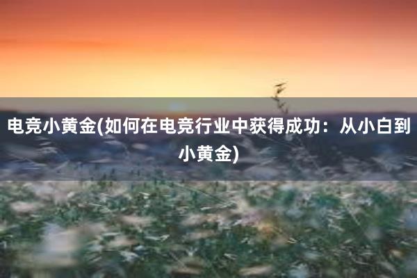 电竞小黄金(如何在电竞行业中获得成功：从小白到小黄金)