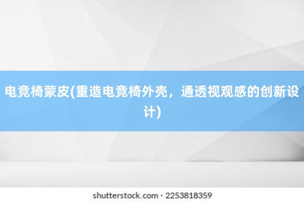 电竞椅蒙皮(重造电竞椅外壳，通透视观感的创新设计)