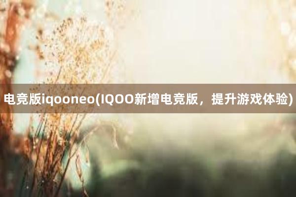 电竞版iqooneo(IQOO新增电竞版，提升游戏体验)