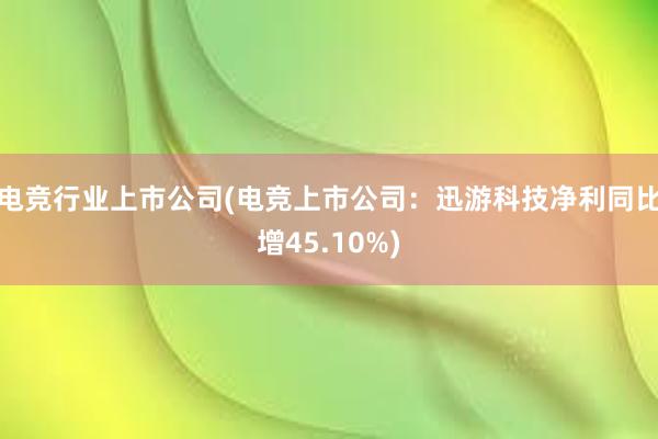 电竞行业上市公司(电竞上市公司：迅游科技净利同比增45.10%)