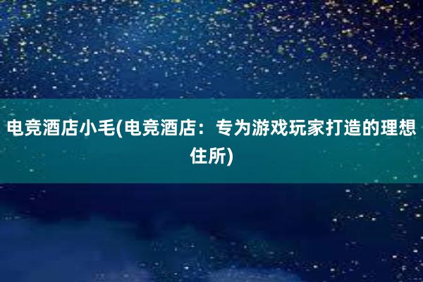 电竞酒店小毛(电竞酒店：专为游戏玩家打造的理想住所)