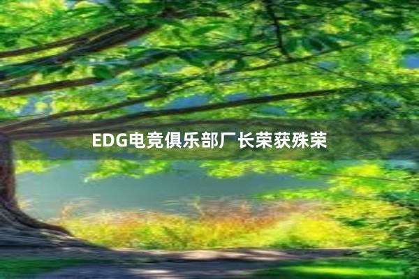 EDG电竞俱乐部厂长荣获殊荣