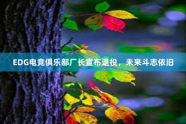 EDG电竞俱乐部厂长宣布退役，未来斗志依旧