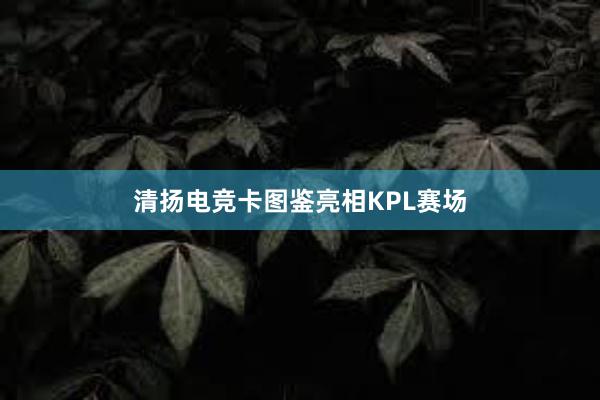 清扬电竞卡图鉴亮相KPL赛场