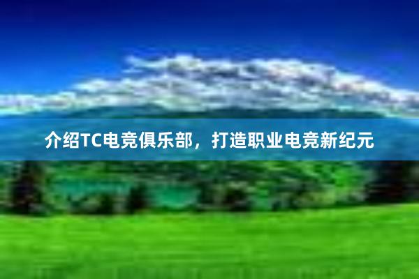 介绍TC电竞俱乐部，打造职业电竞新纪元