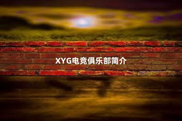 XYG电竞俱乐部简介