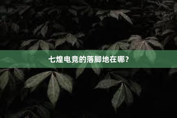 七煌电竞的落脚地在哪？