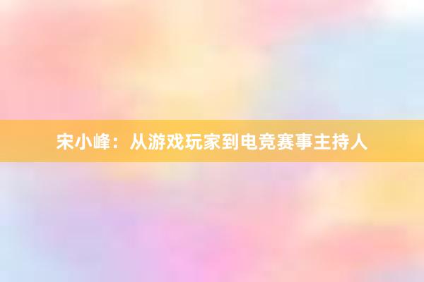 宋小峰：从游戏玩家到电竞赛事主持人