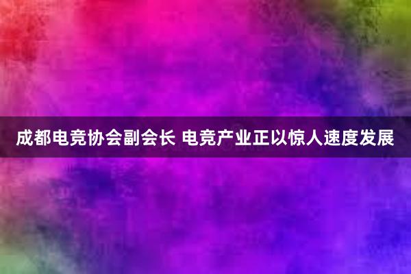 成都电竞协会副会长 电竞产业正以惊人速度发展