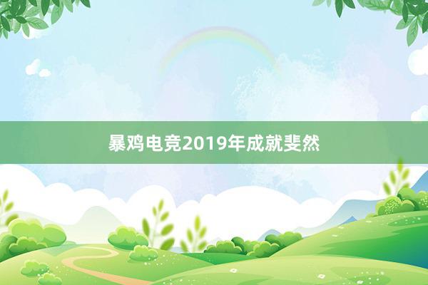 暴鸡电竞2019年成就斐然