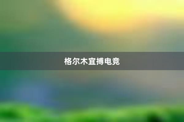 格尔木宜搏电竞