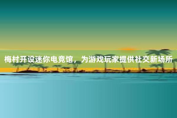 梅村开设迷你电竞馆，为游戏玩家提供社交新场所