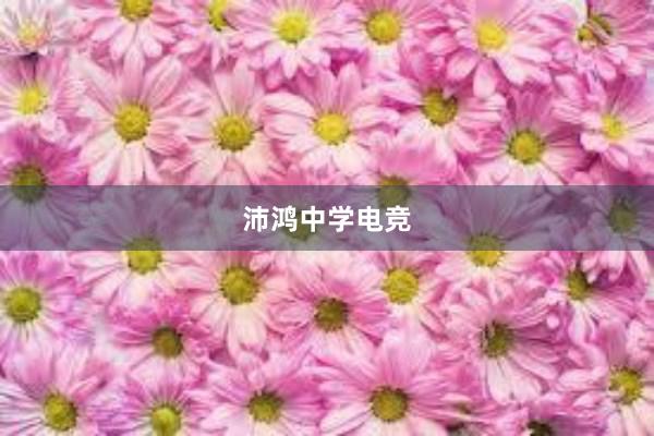 沛鸿中学电竞