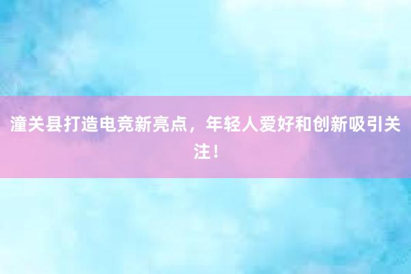 潼关县打造电竞新亮点，年轻人爱好和创新吸引关注！