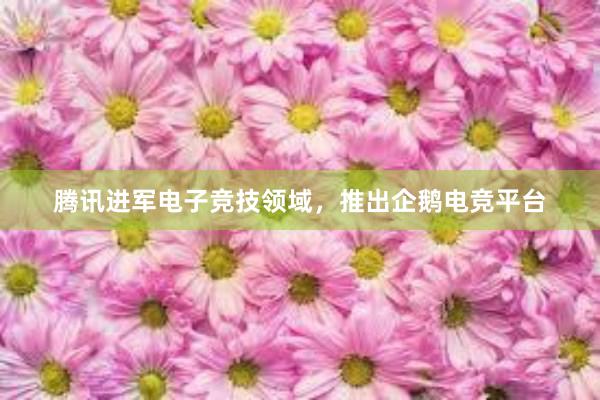 腾讯进军电子竞技领域，推出企鹅电竞平台